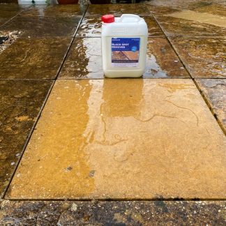 A container labeled "Black Spot Remover" sits on a wet, cleaned patio tile amid darker, dirtier tiles, showing a contrast between treated and untreated areas.